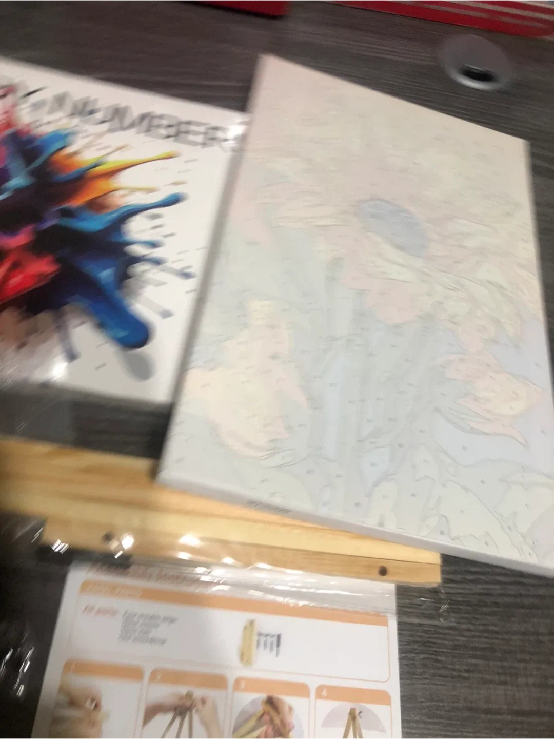 Paint by Numbers Framed Canvas Kit image indicator(4)