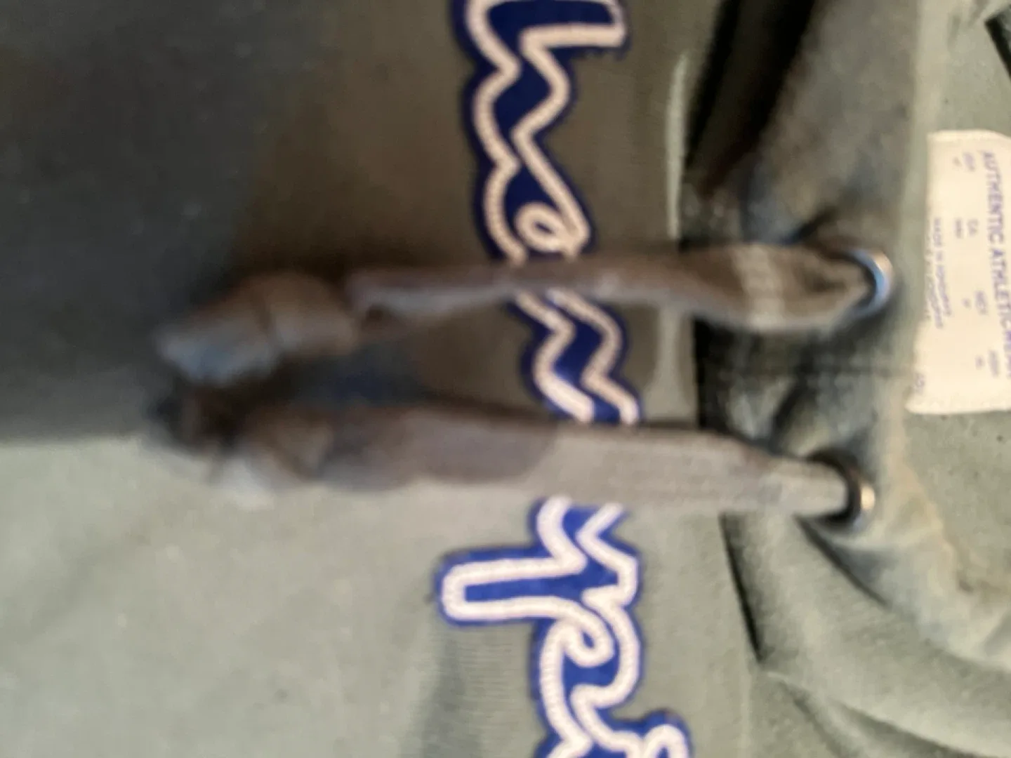 Champion Hoodie - Women’s Size M image indicator(3)