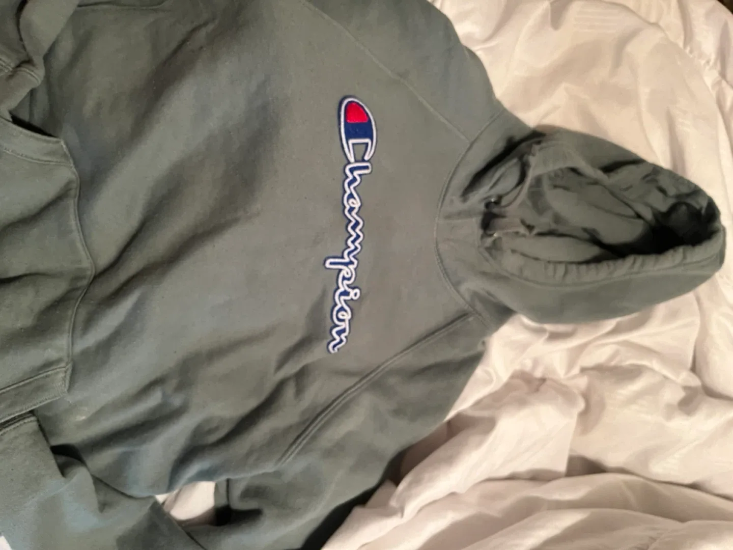 Champion Hoodie - Women’s Size M