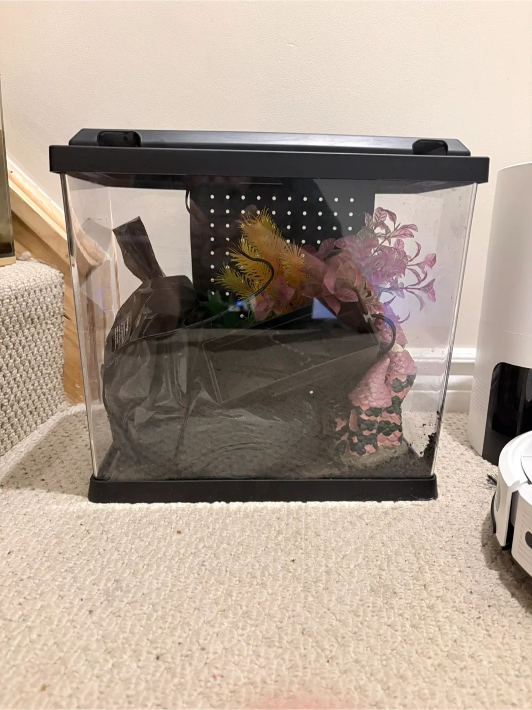 Aquarium with Decorations and Filter