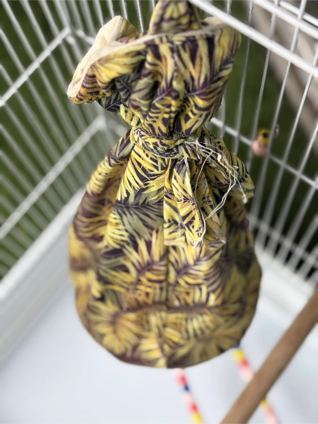 Bird Cage with Accessories - photo 5