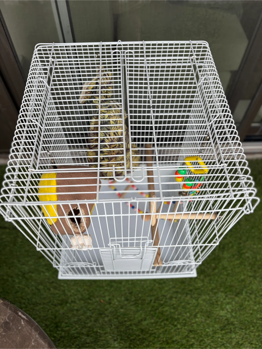 Bird Cage with Accessories - photo 3