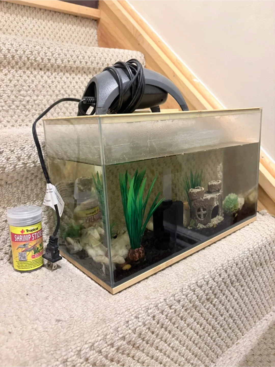 Fish Tank with Accessories