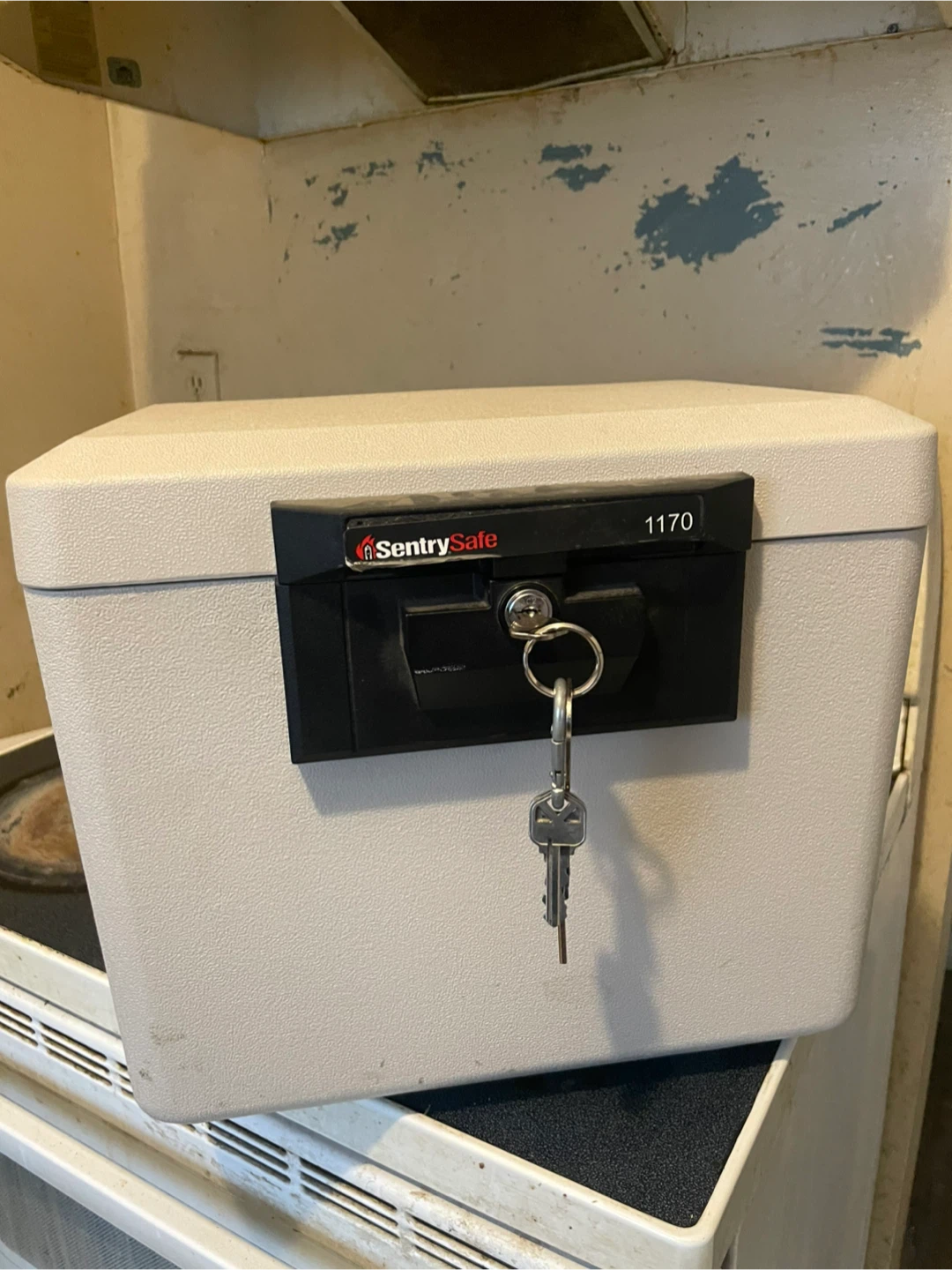 SentrySafe 1170 Fire Safe Box with Key - photo 4