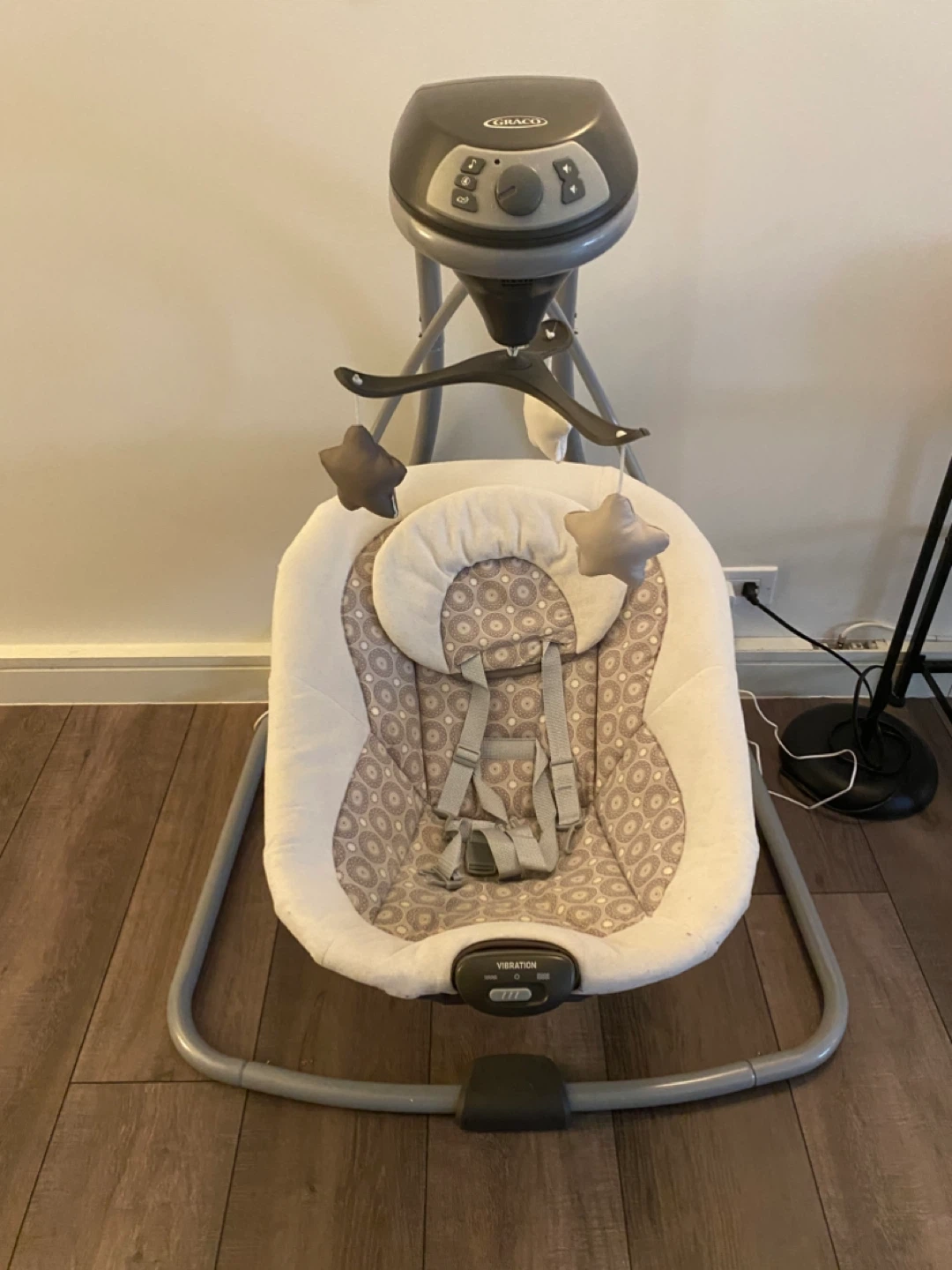 Graco Baby Swing