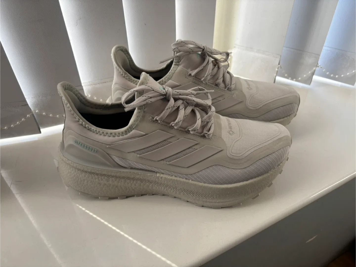 Adidas Ultraboost 5 Gore-Tex Women's Shoes