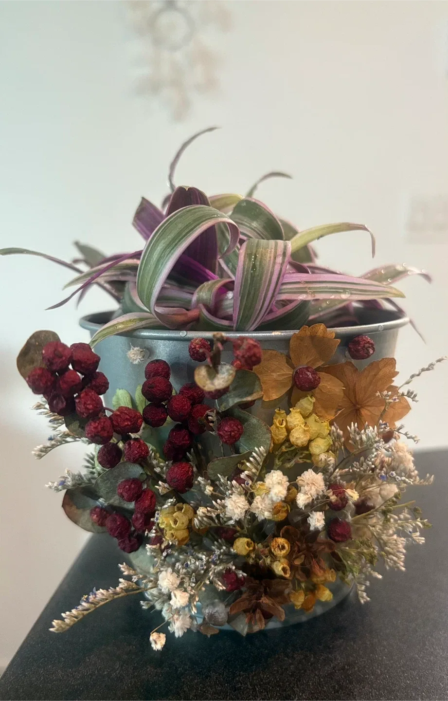 Potted Tradescantia Plant with Dried Floral Accents image indicator(2)