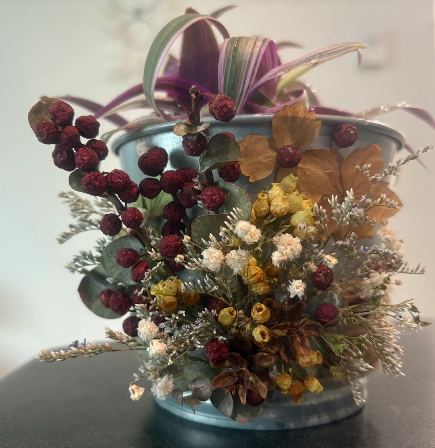 Potted Tradescantia Plant with Dried Floral Accents image indicator(3)