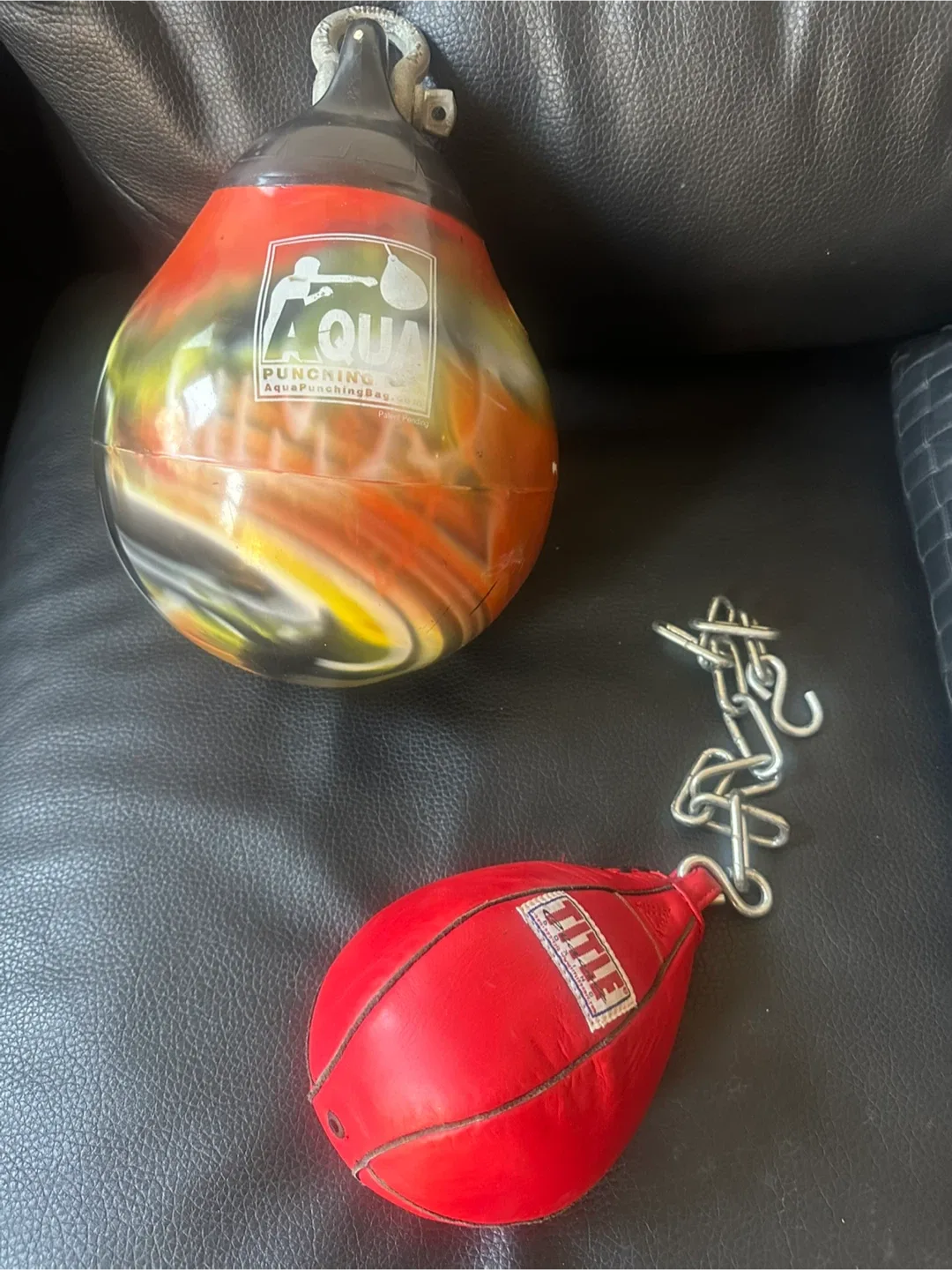 Aqua Punching Bag & Title Speed Bag