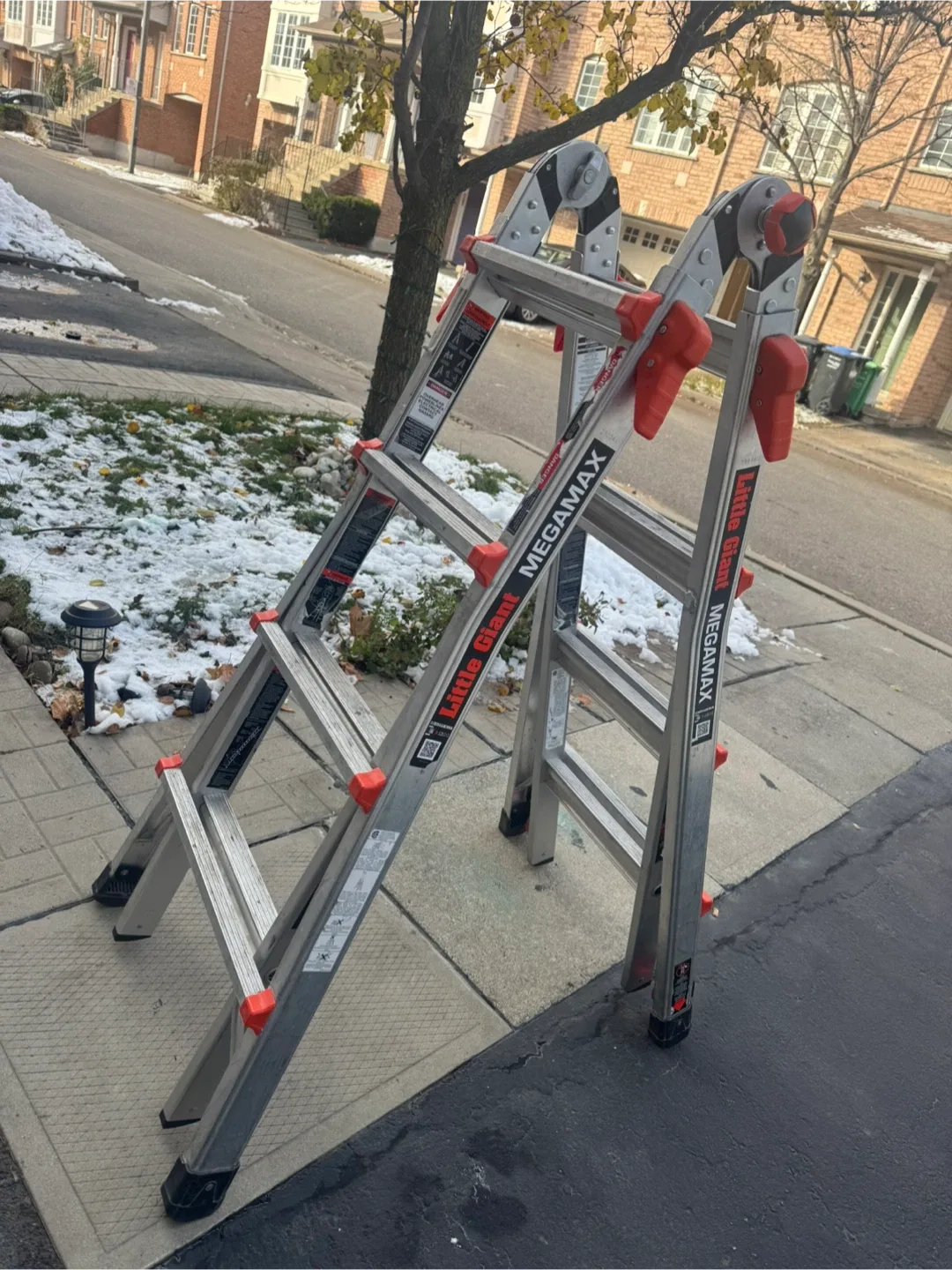 Little Giant Megamax Ladder image indicator(2)