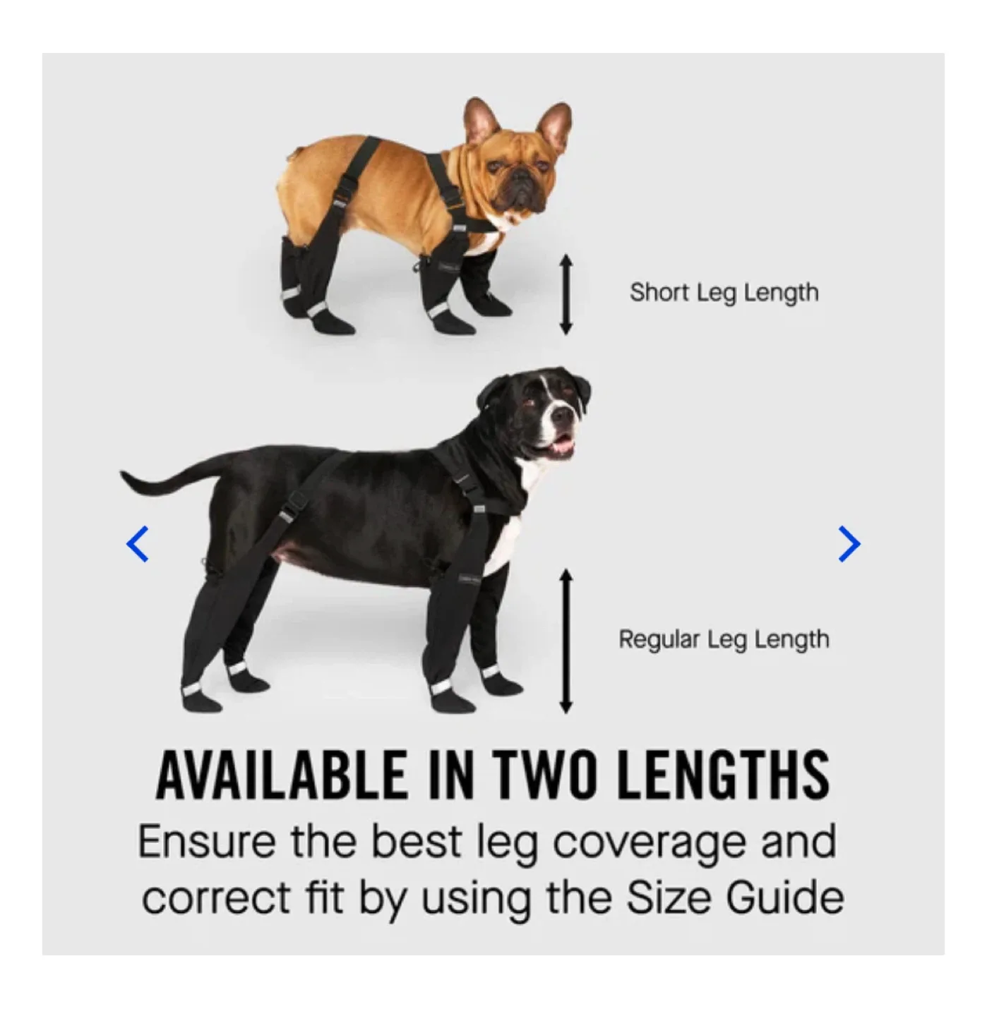 Canada Pooch Suspender Boots – Size 3 (Regular) image indicator(4)