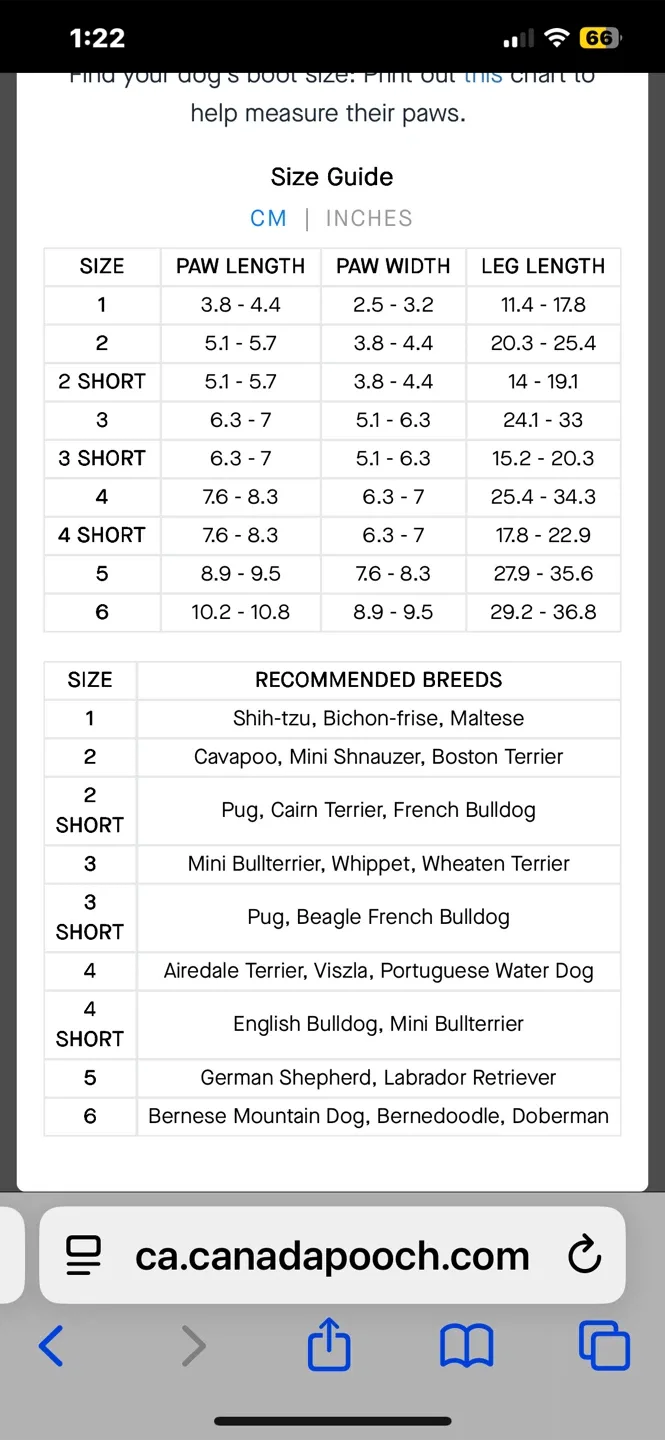 Canada Pooch Suspender Boots – Size 3 (Regular) image indicator(3)