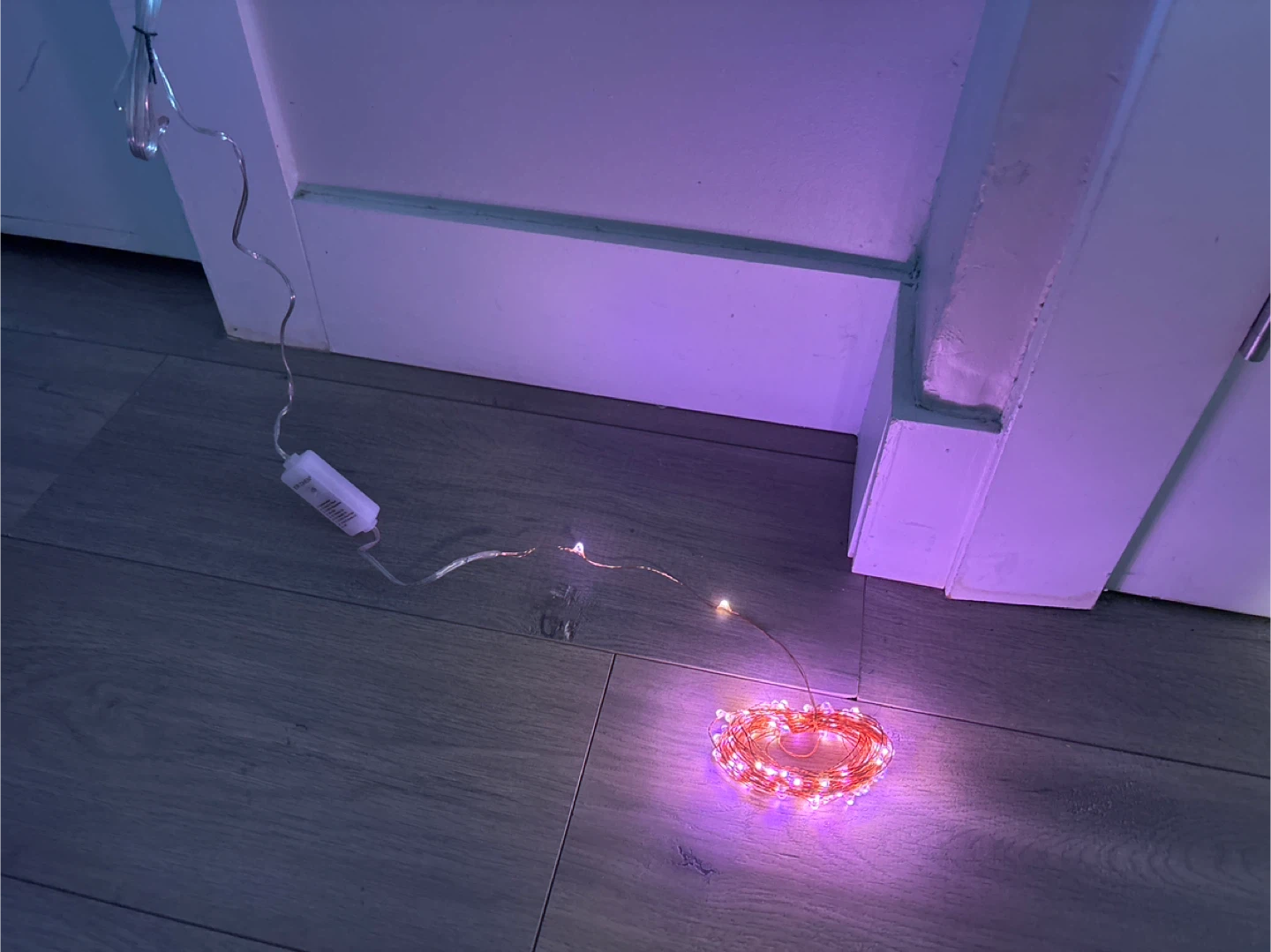 ER CHEN Dual-Color LED String Lights - Like New! - photo 4