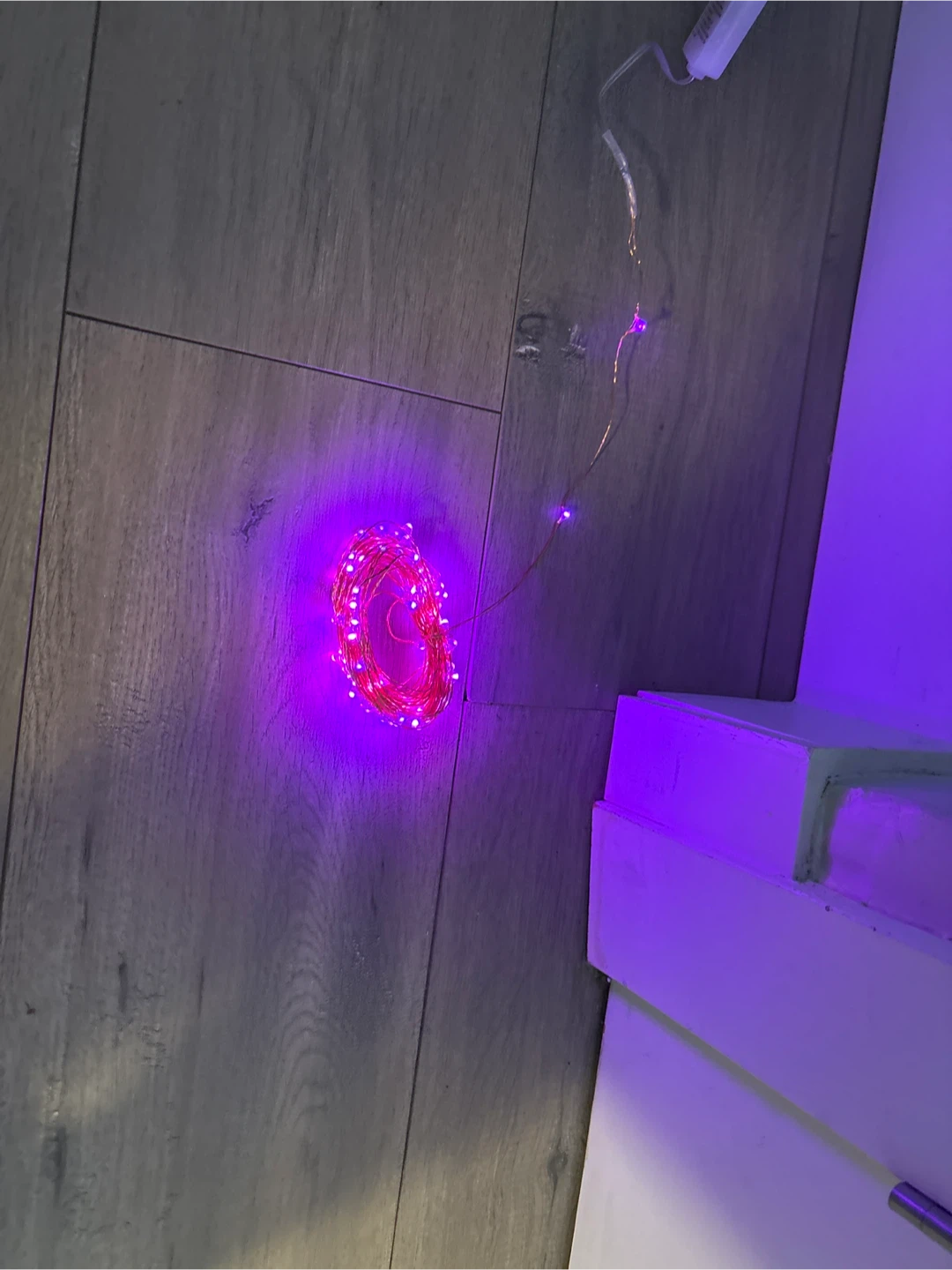ER CHEN Dual-Color LED String Lights - Like New! - photo 5