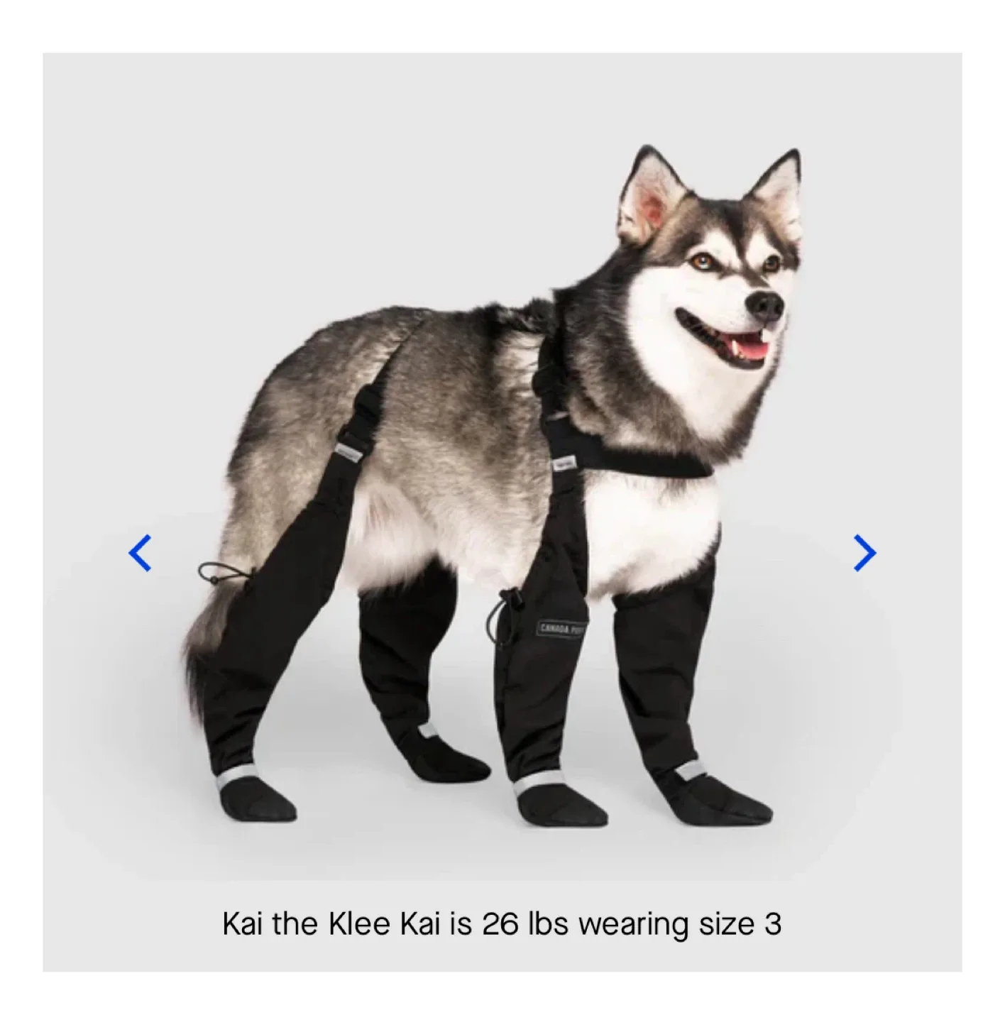 Canada Pooch Suspender Boots – Size 3 (Regular)