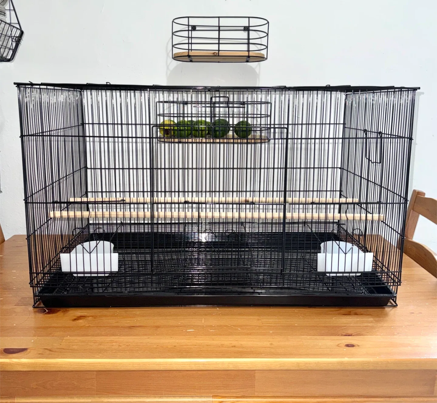 Black Bird Cage with Accessories