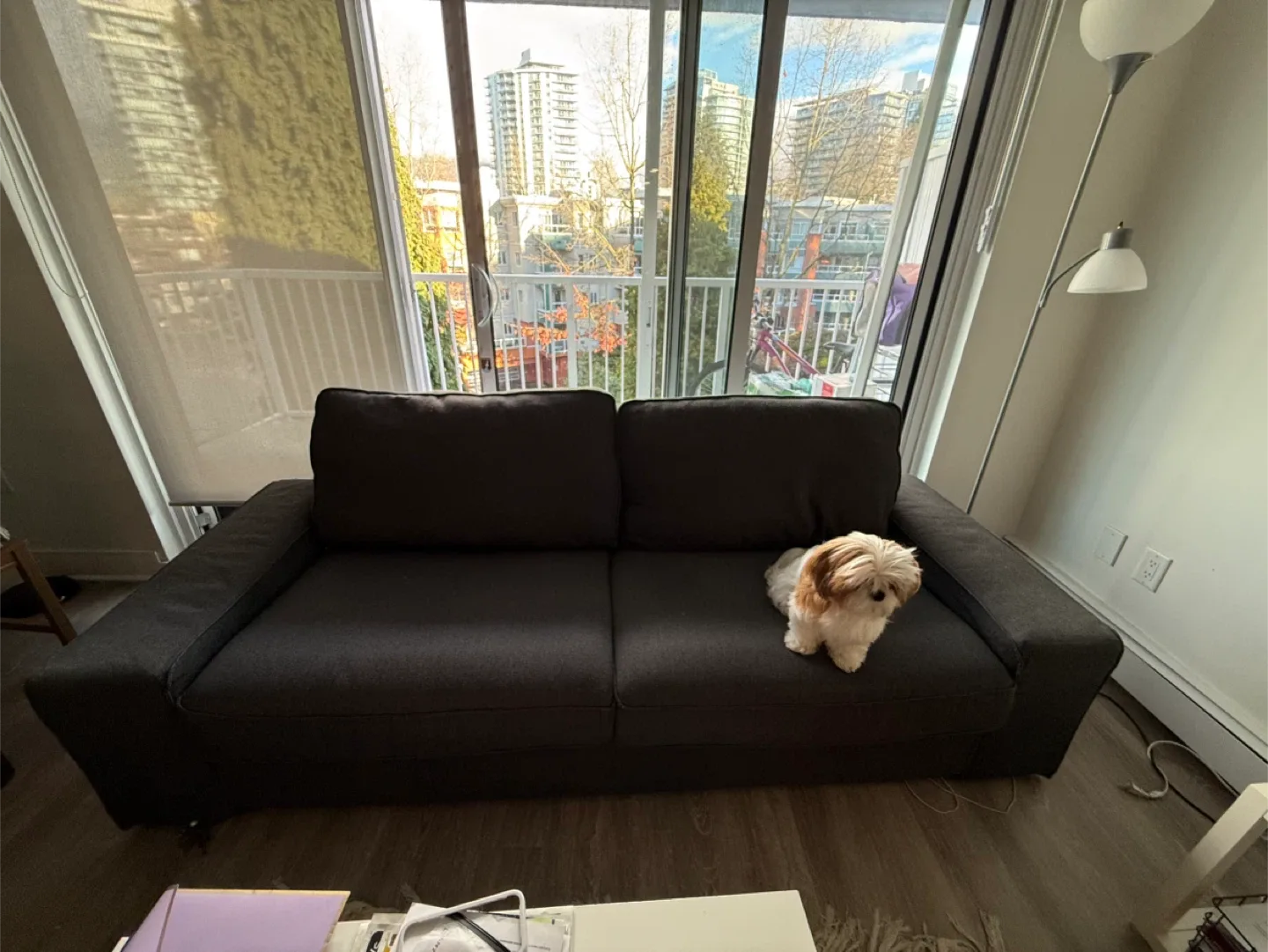 Dark Grey Ikea 2-Seat Sofa