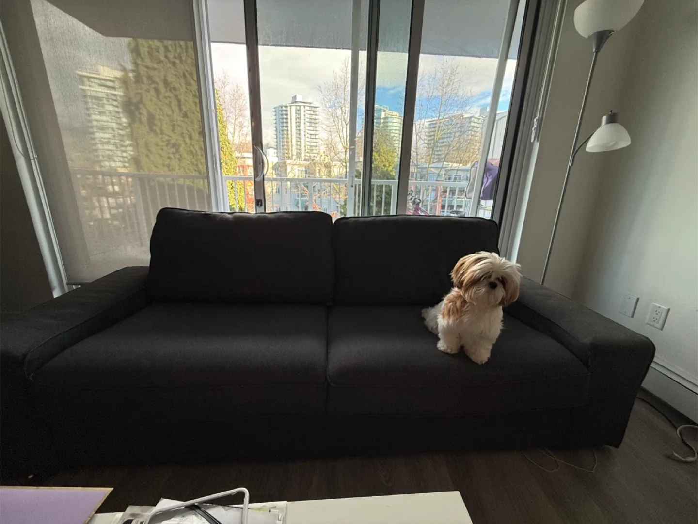 Dark Grey Ikea 2-Seat Sofa image indicator(2)