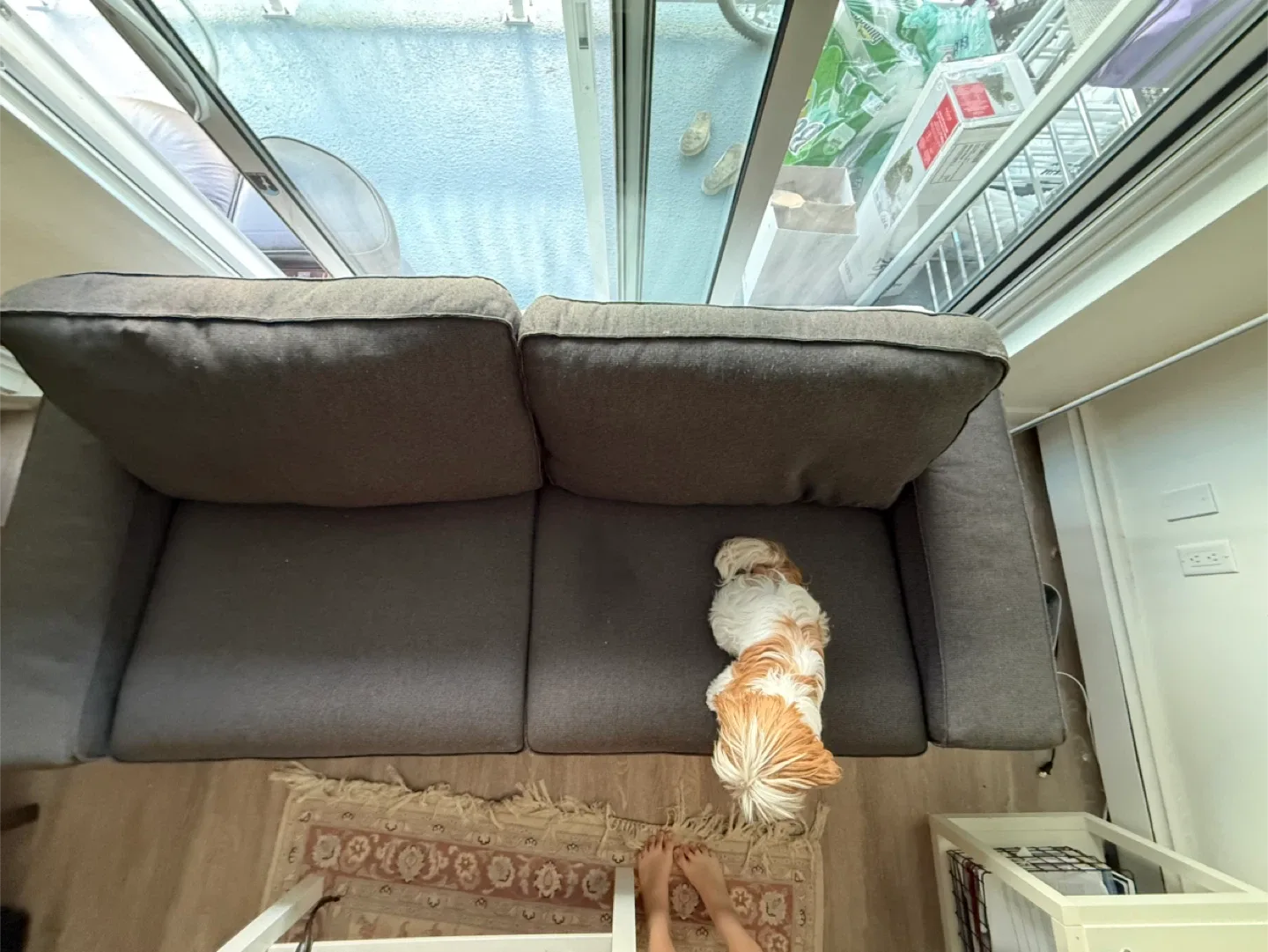 Dark Grey Ikea 2-Seat Sofa image indicator(3)