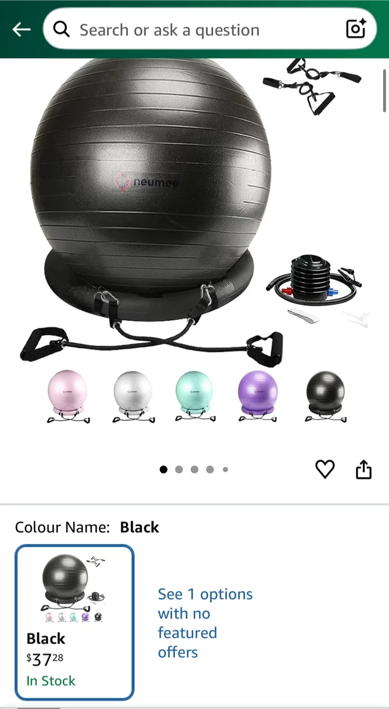 Neumee Black Exercise Ball with Resistance Bands