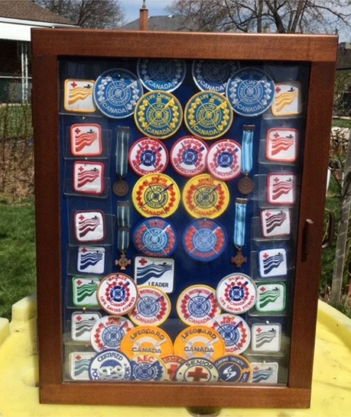 Wall mounted Black Walnut Case great to display awards