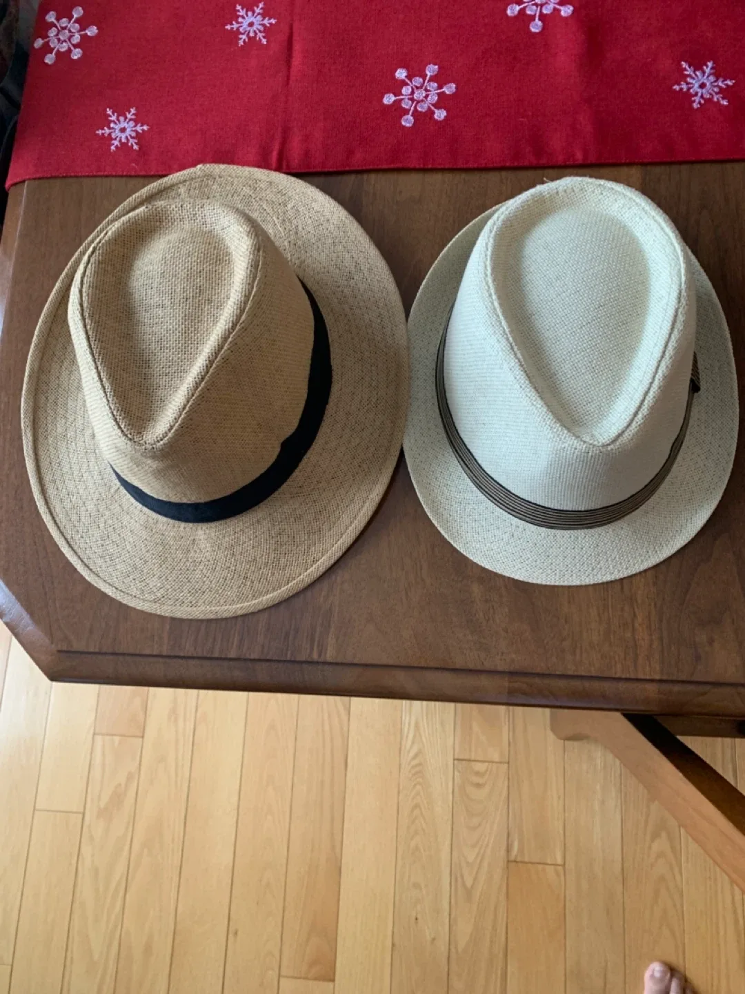 Two Fedora Hats,