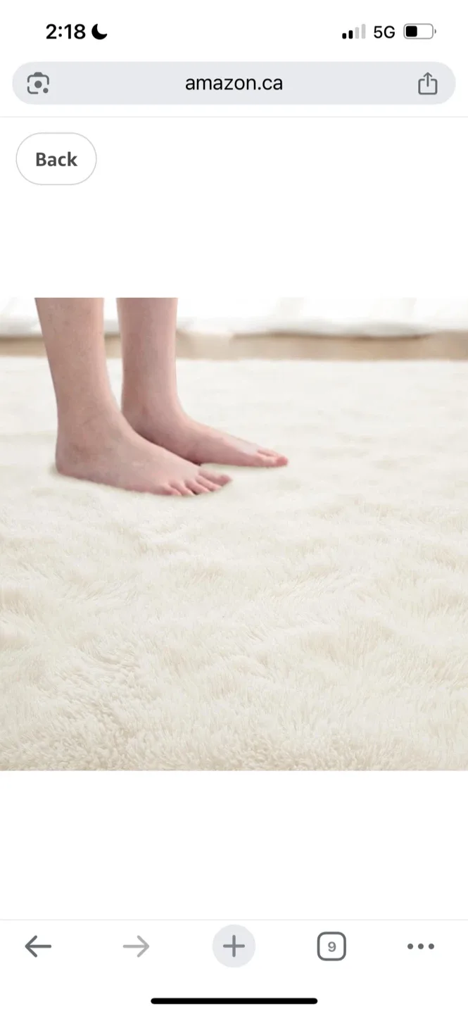 New Fluffy Shag Area Rug - Ivory 6X9 Ft image indicator(6)
