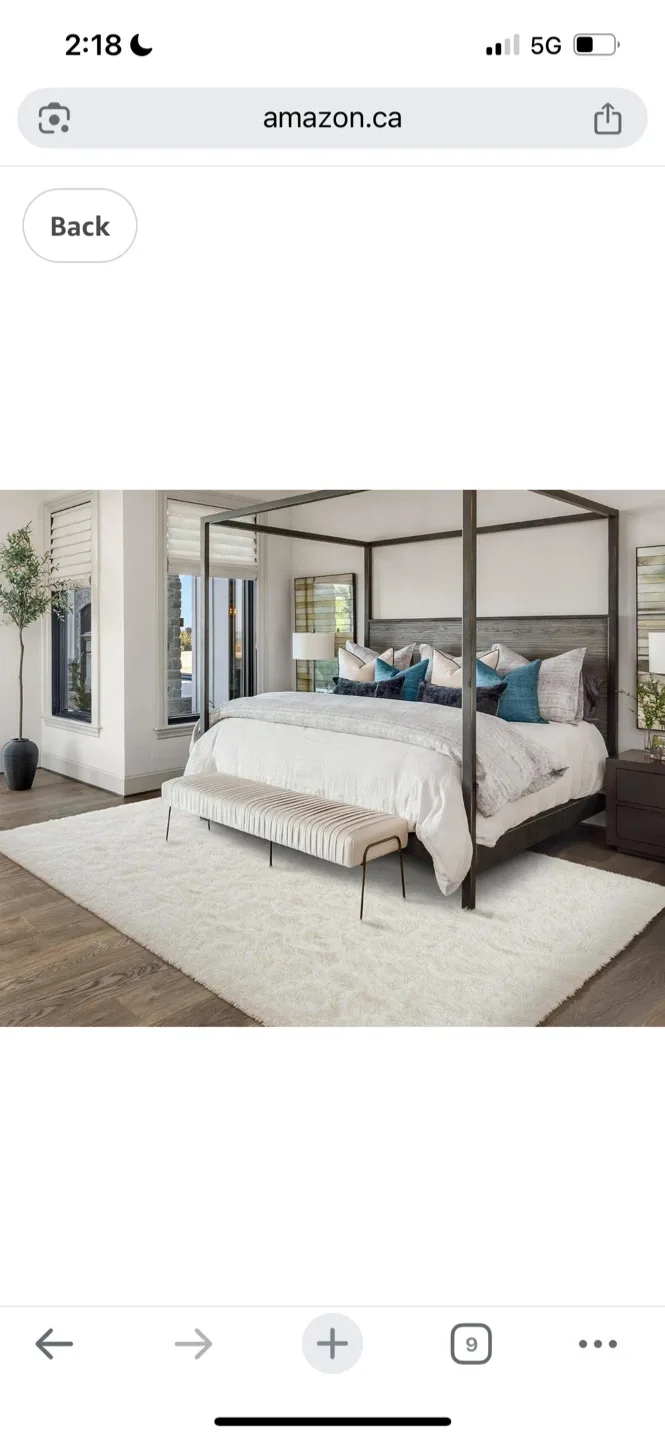 New Fluffy Shag Area Rug - Ivory 6X9 Ft image indicator(3)