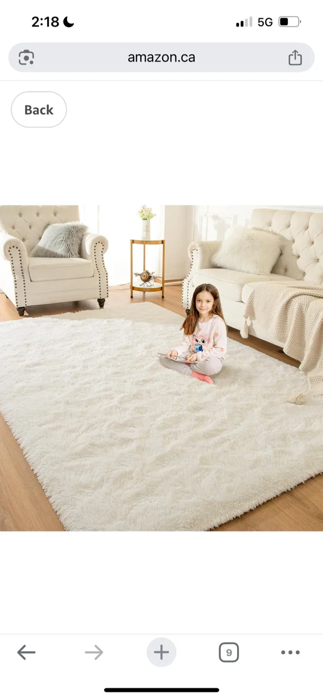 New Fluffy Shag Area Rug - Ivory 6X9 Ft image indicator(2)