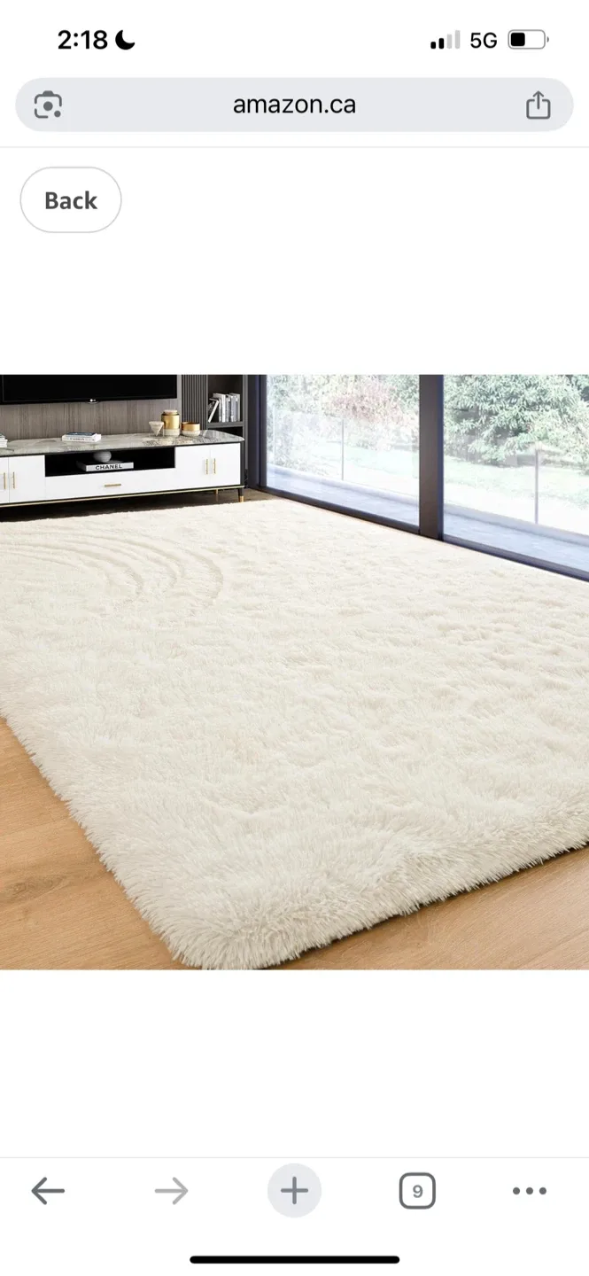 New Fluffy Shag Area Rug - Ivory 6X9 Ft
