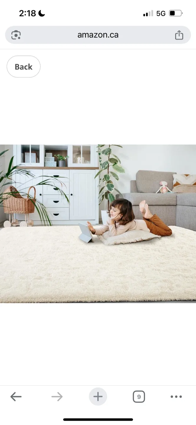 New Fluffy Shag Area Rug - Ivory 6X9 Ft image indicator(5)