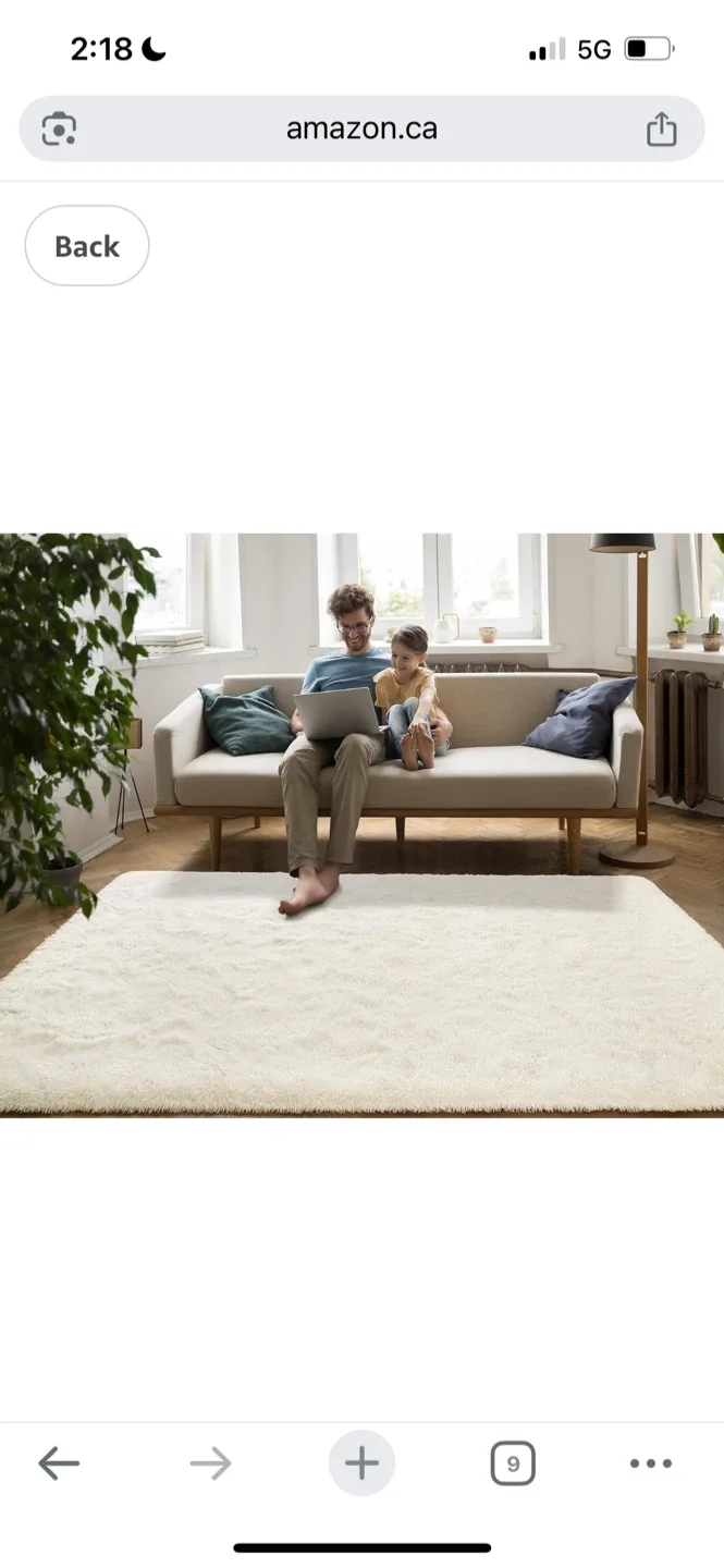 New Fluffy Shag Area Rug - Ivory 6X9 Ft image indicator(4)