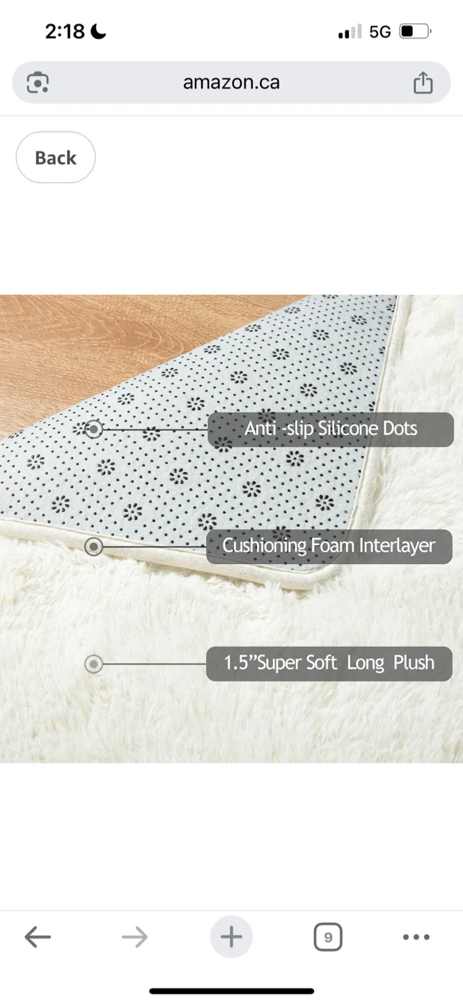 New Fluffy Shag Area Rug - Ivory 6X9 Ft image indicator(7)