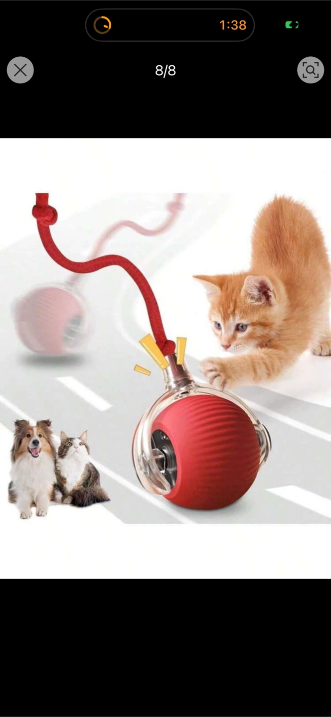 New Tease Cat Ball Toy