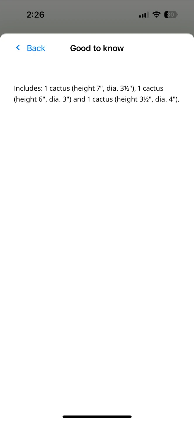 SJÄLSLIGT Porcelain Cactus Decoration Set of 3, Green - photo 5