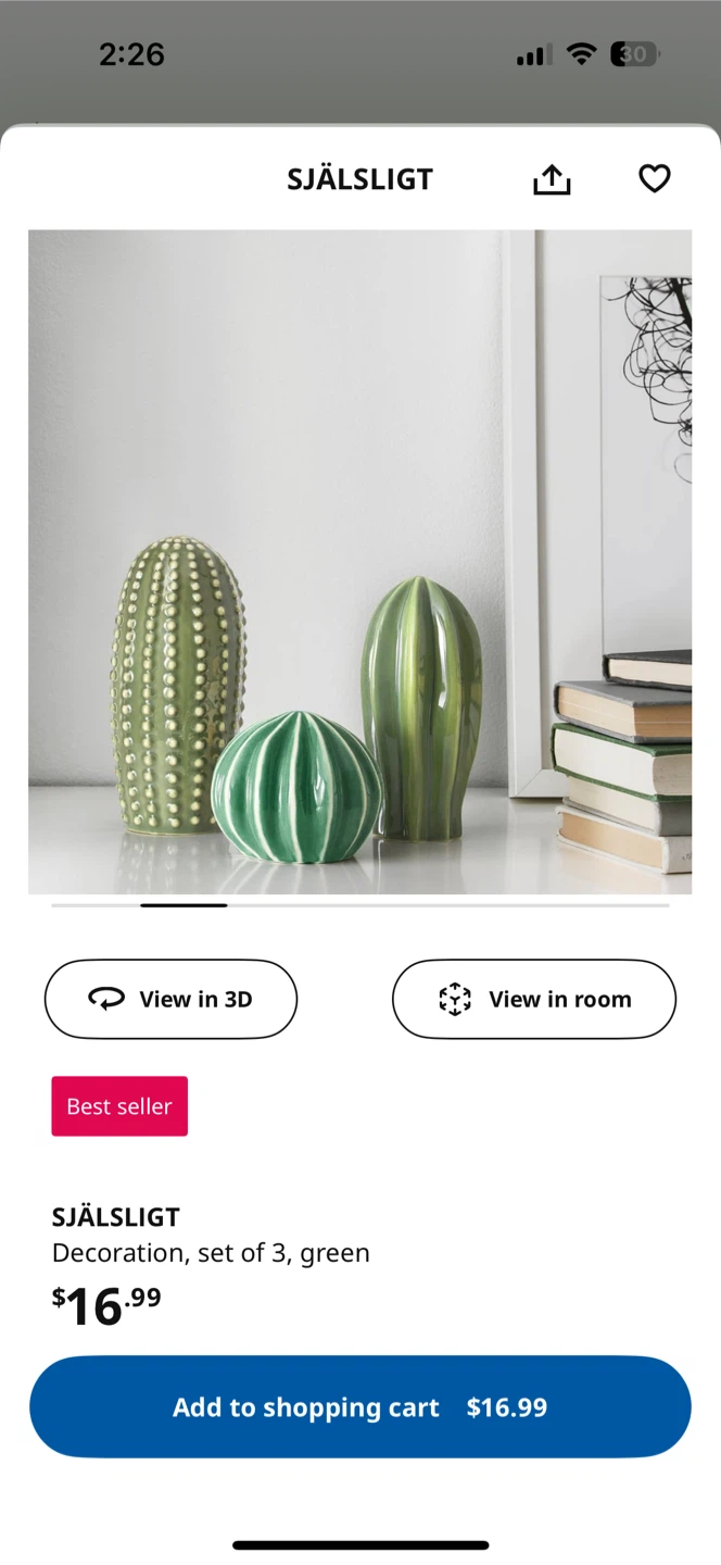 SJÄLSLIGT Porcelain Cactus Decoration Set of 3, Green - photo 3