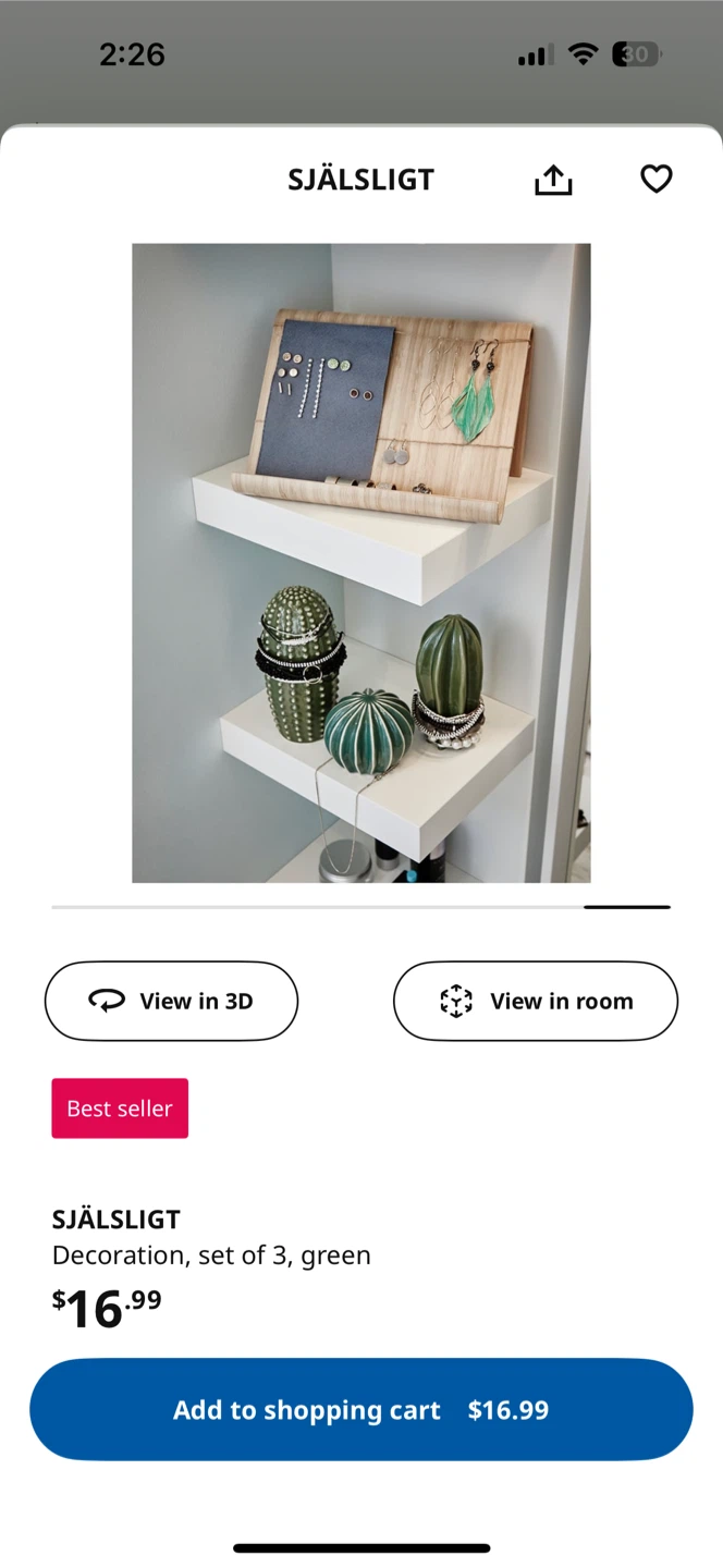 SJÄLSLIGT Porcelain Cactus Decoration Set of 3, Green - photo 4