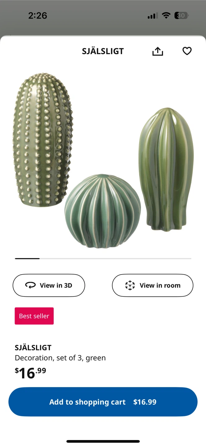 SJÄLSLIGT Porcelain Cactus Decoration Set of 3, Green - photo 2