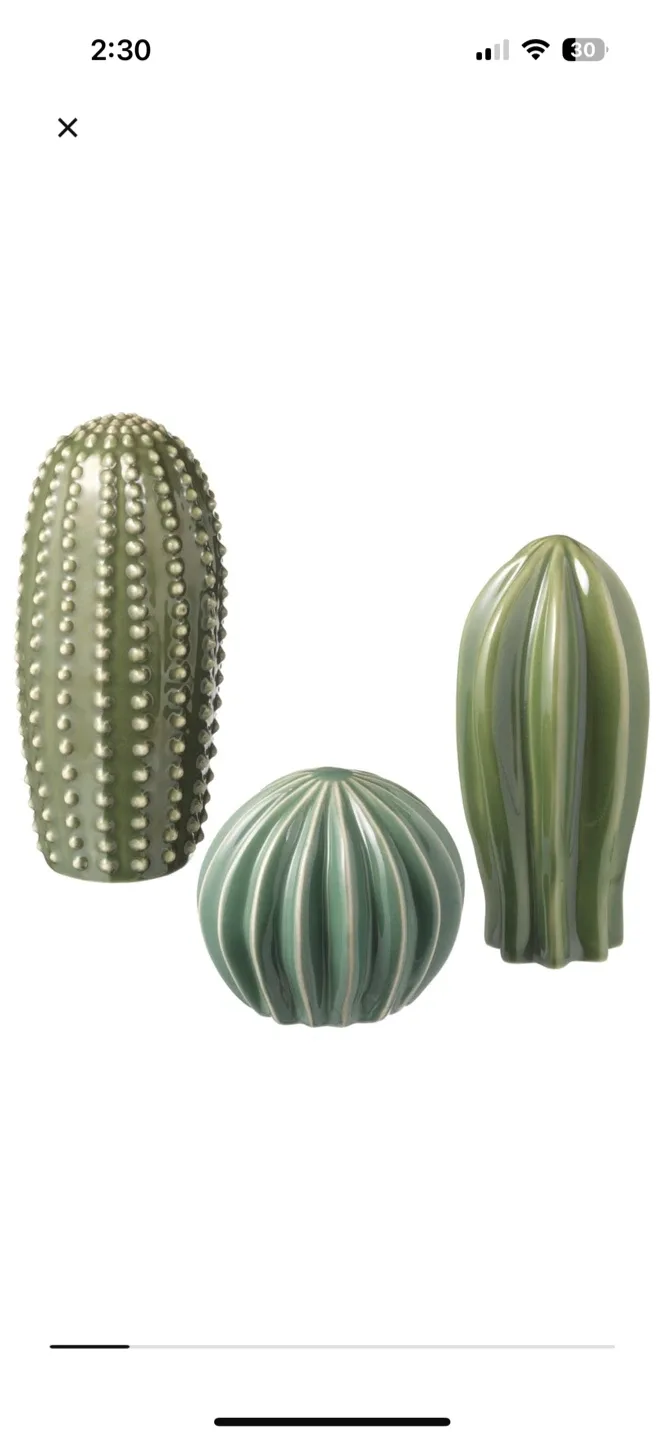SJÄLSLIGT Porcelain Cactus Decoration Set of 3, Green