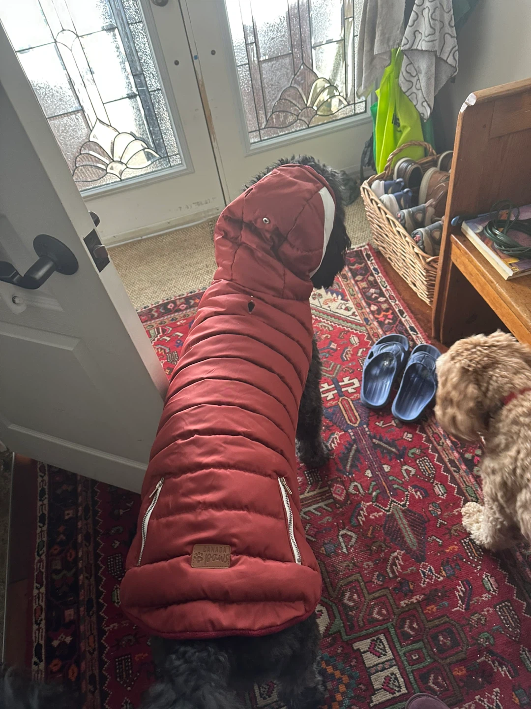 Red Padded Dog Coat extra large - photo 3
