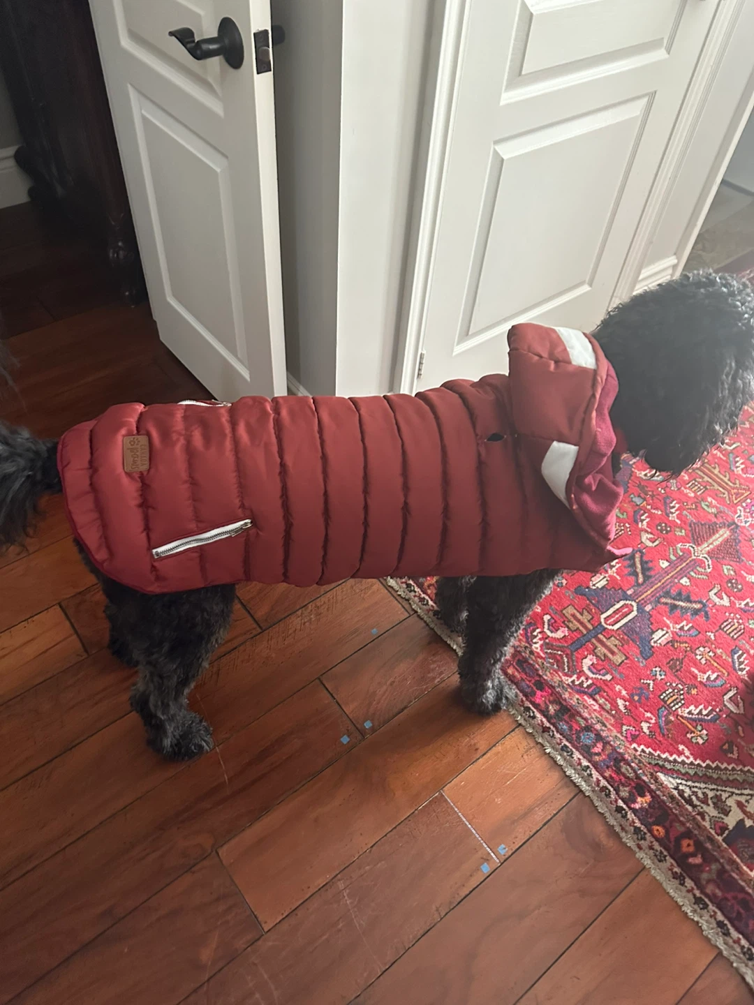Red Padded Dog Coat extra large - photo 2