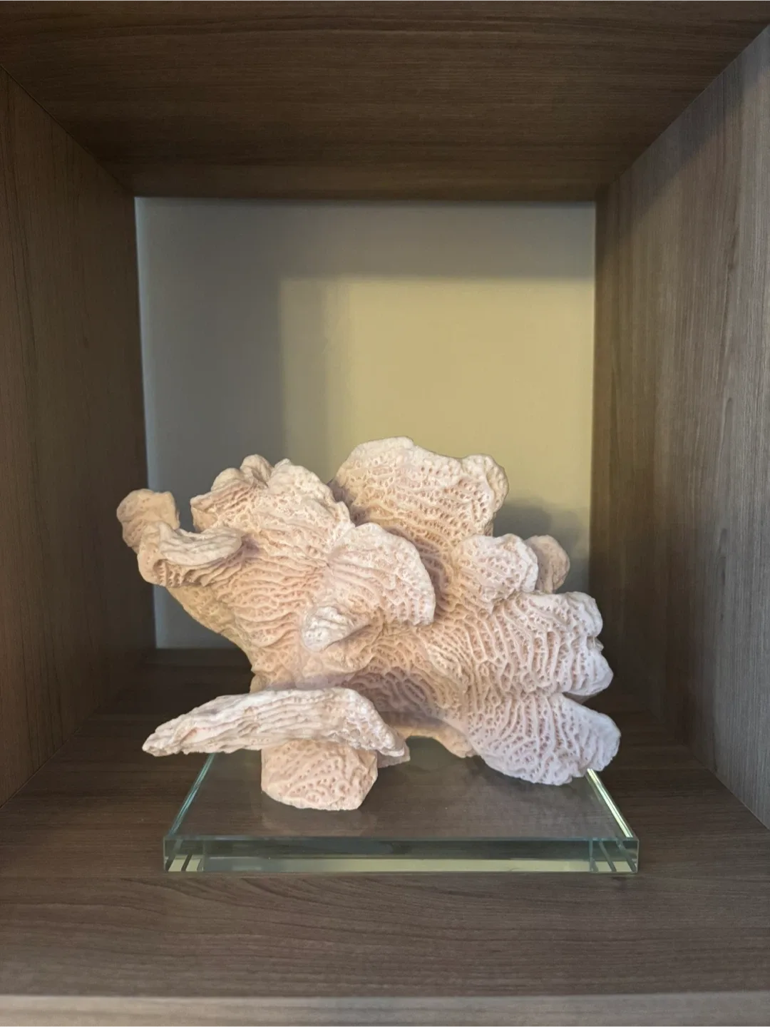 Faux Pink Coral Decoration