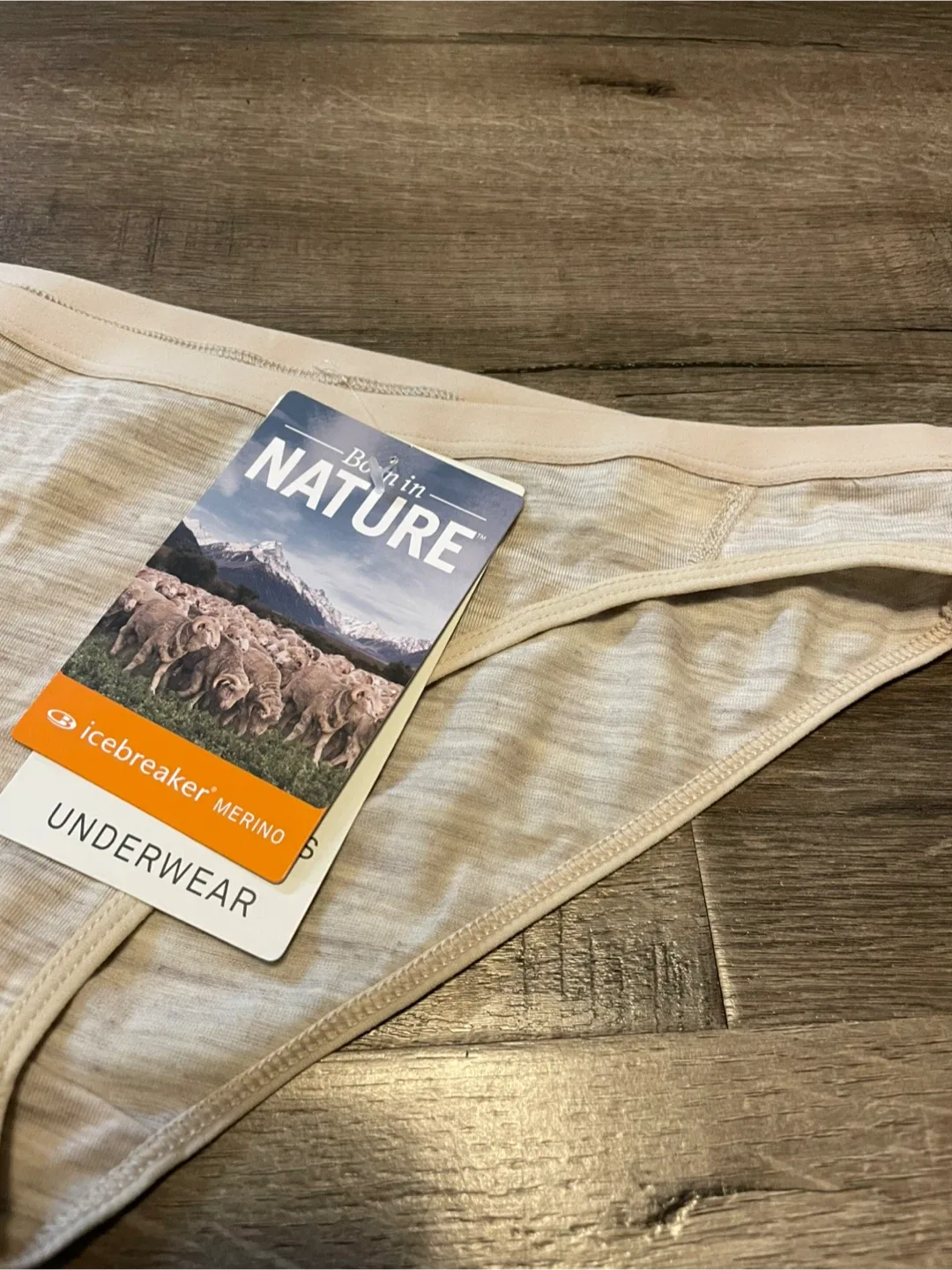 NEW! Icebreaker Wmns Siren Bikini - Size WM