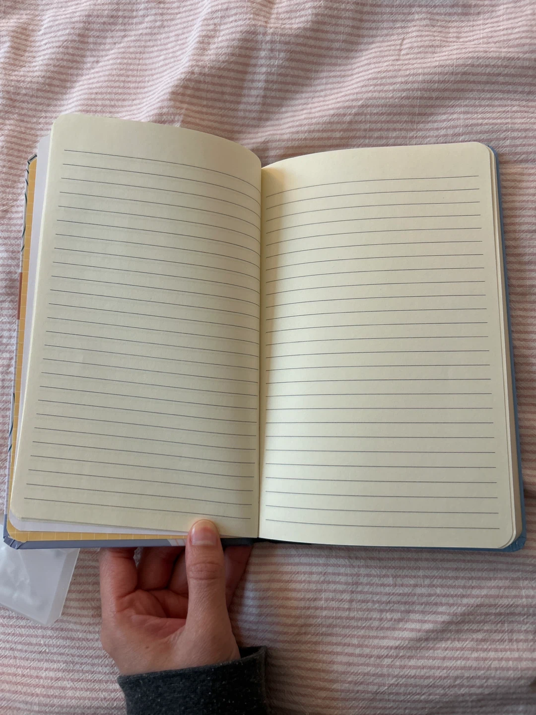 This & That Notebook - photo 3