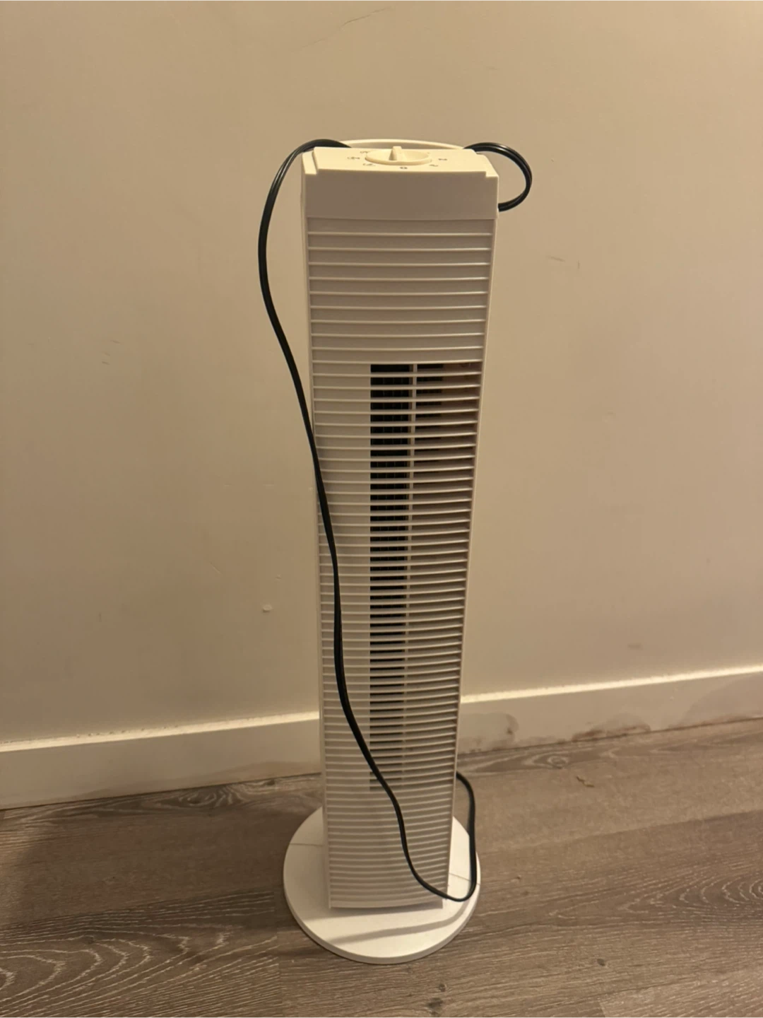 White Tower Fan - photo 2