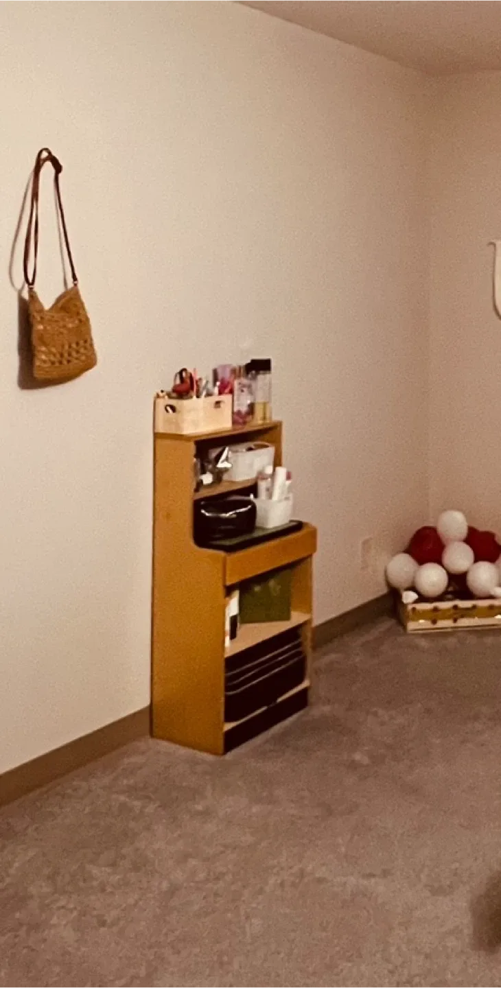 Wooden Makeup Storage Shelf