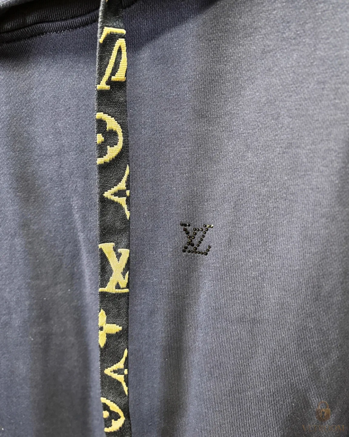 Louis Vuitton Distorted Monogram Hooded Hoodie image indicator(3)