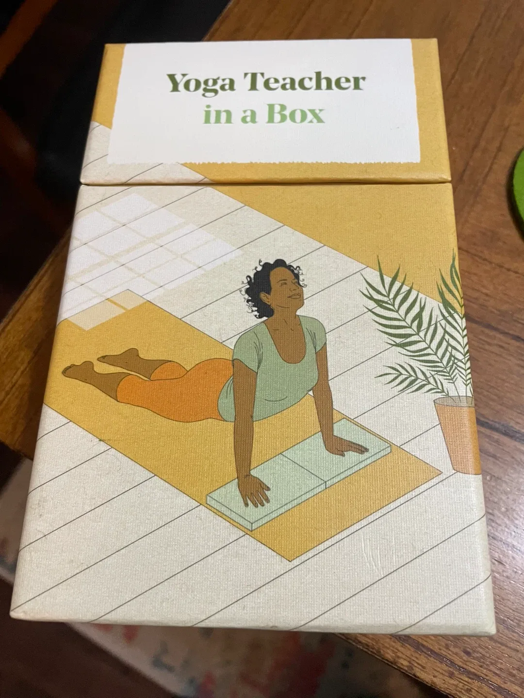 Yoga Teacher in a Box - Skittledog