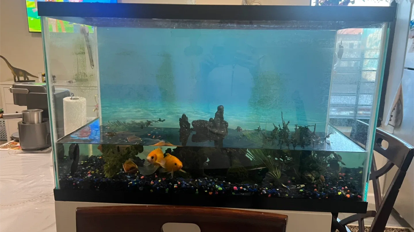 Fish Tank with Accessories. Aquarium
