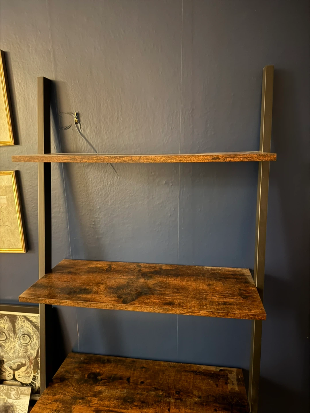 Industrial Style Ladder Shelf - Brown and black metal - photo 3